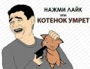 Андрій Білозір фотография #14 (источник - https://vk.com/id375752362)