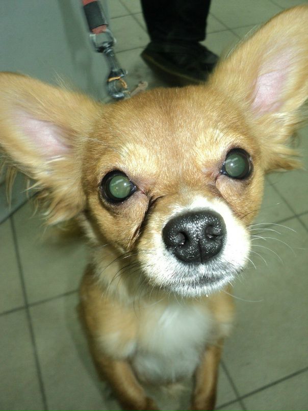 Витя Поляков фотография #50