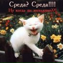 Влад Зоткин фотография #8 (источник - https://vk.com/id156297845)