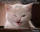 Ігор Терлецький фотография #22 (источник - https://vk.com/id163842165)