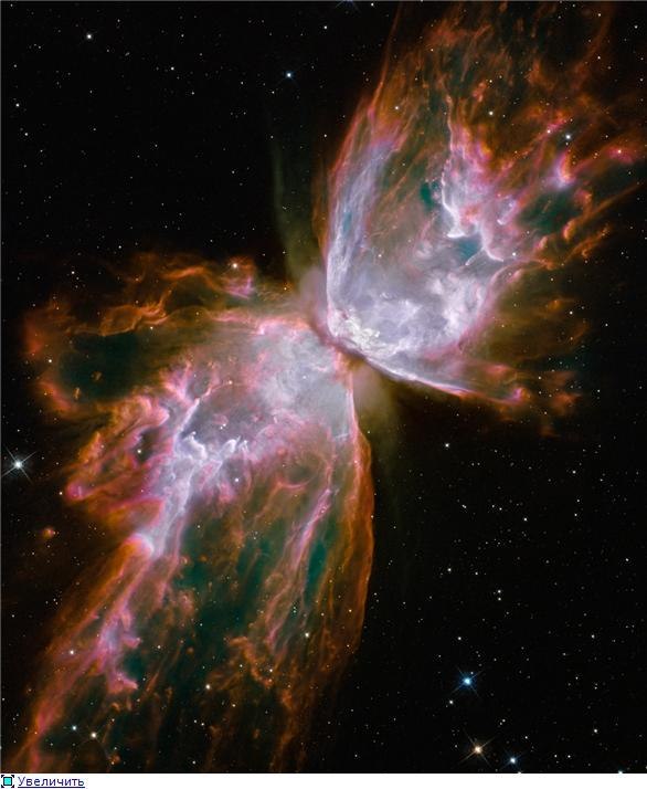 Нургали Жанбеков фотография #35