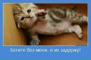 Фотография Гресь Андрей