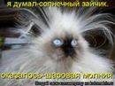 Фотография Даниил Оборин