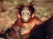 Саша Слободянюк фотография #14 (источник - https://vk.com/id89386197)