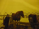 Фотография Никифорова Фёдора