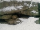 Богдан Курінний фотография #39 (источник - https://vk.com/id70806979)