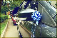 Фотография Федуловой Ани