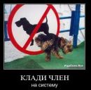 Фотография Замотина Олега