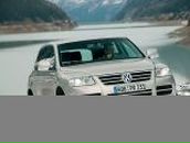 Міша М фотография #1