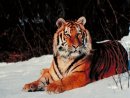 Іннуся Мокрицька фотография #12 (источник - https://vk.com/id23725148)