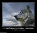 Фотография Маленького Саши