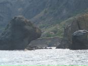 Ольга Валуева фотография #50 (источник - https://vk.com/id74727458)