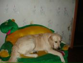 Фотография Васильевой Елены