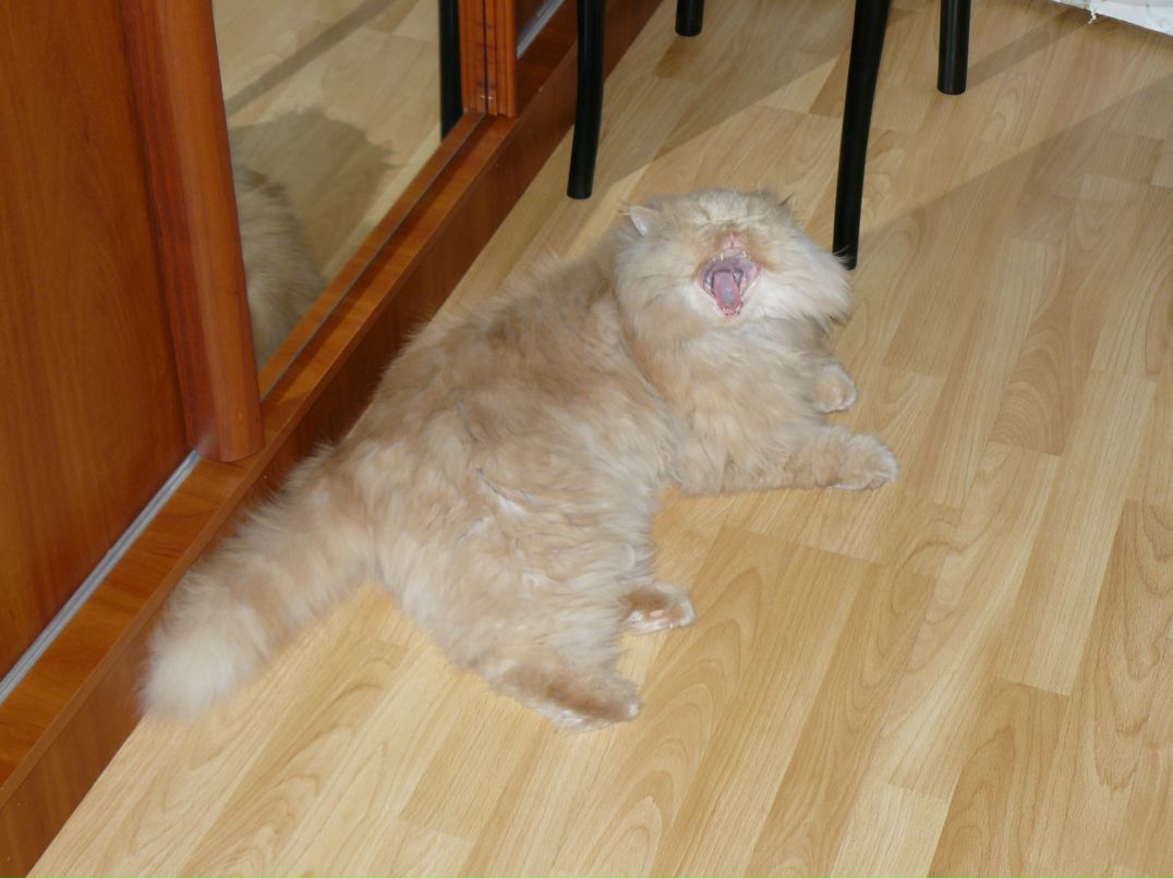 Вячеслав Вик фотография #49