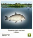 Вадім Горковенко фотография #50 (источник - https://vk.com/id132061658)