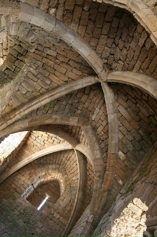 Дарья Климова фотография #38