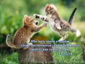 Андрій Ленько фотография #26 (источник - https://vk.com/id89376220)