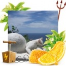 Фотография Леонтьевой Натальи