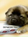 Роман Конів фотография #19 (источник - https://vk.com/id72338464)