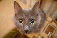 Фотография Тарасенко Ольги