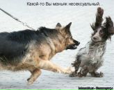 Віталій Митець фотография #15 (источник - https://vk.com/id9219430)