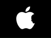 Фотография Краюшкина Максима