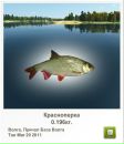 Андрій Бабінчук фотография #19 (источник - https://vk.com/id63258728)