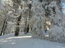 Білий Драгобратський фотография #35 (источник - https://vk.com/id151729453)