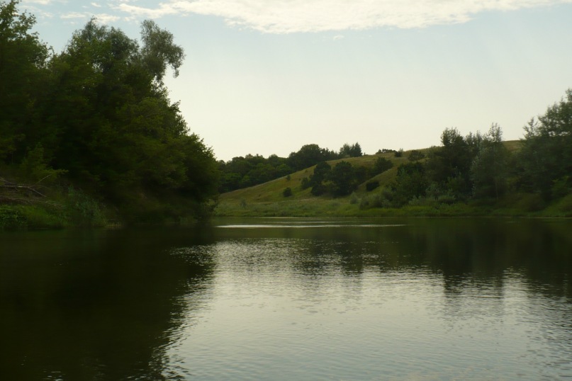 Дима Крылов фотография #18