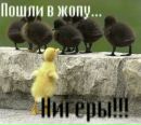 Слава Кілюшик фотография #1