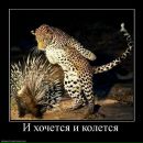 Фотография Каримова Ирека