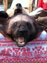 Михаил Васильев фотография #26 (источник - https://vk.com/id3498290)