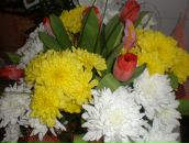 Фотография Волковой Наталии