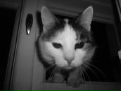 Фотография Касимовой Юлии