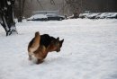 Маша Федько фотография #12 (источник - https://vk.com/id543435)