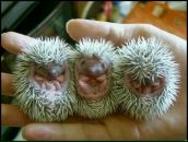 Фотография Андрея Андрея