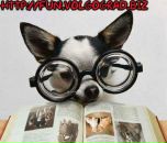 Євгеній Конотопенко фотография #46 (источник - https://vk.com/id70231724)