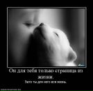 Фотография Мисюряева Алексея