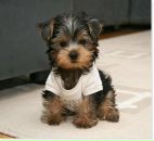 Фотография Mikhaylova Irina