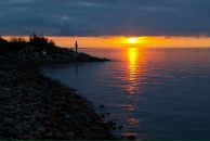 Фотография Алексеева Паши