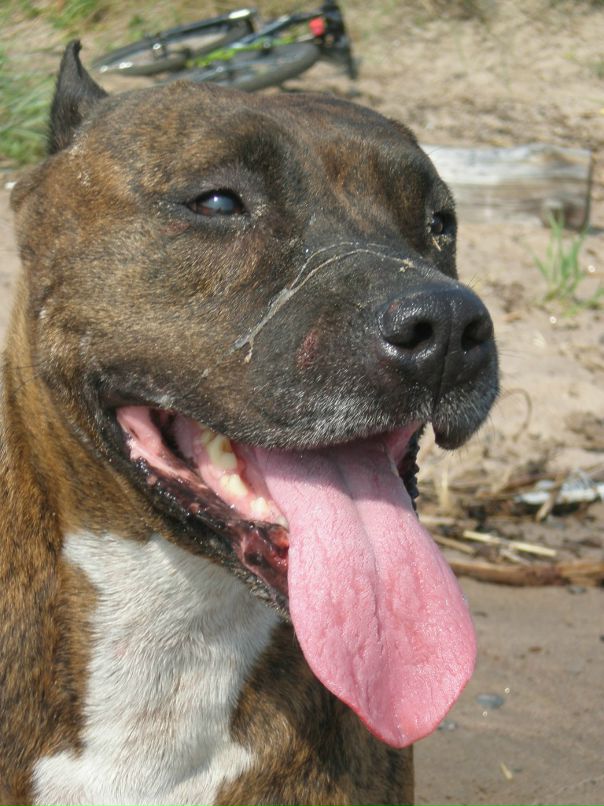 Тимур Геращенко фотография #5