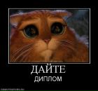 Фотография Иванова Андрея