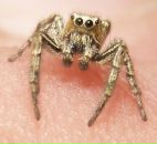 Евгений Евсеев фотография #10 (источник - https://vk.com/id1179546)