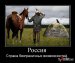  фотография #24