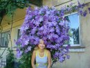 Єлизавета Павлий фотография #1
