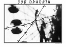 Фотография Корсака Сергея