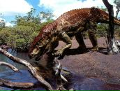 Іллья Васькевич фотография #26 (источник - https://vk.com/id69075319)