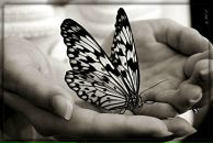 Фотография Шпрыговой Ольги