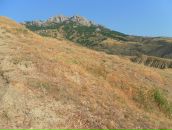 Уладзімір Мацюшэнко фотография #48 (источник - https://vk.com/id10360954)