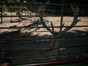 Віка Богатюк фотография #46 (источник - https://vk.com/id77462187)